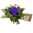 PROMOÇÂO Doce Combinação Violeta e Ferrero
